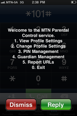 screenshot of phone with restrictions menu